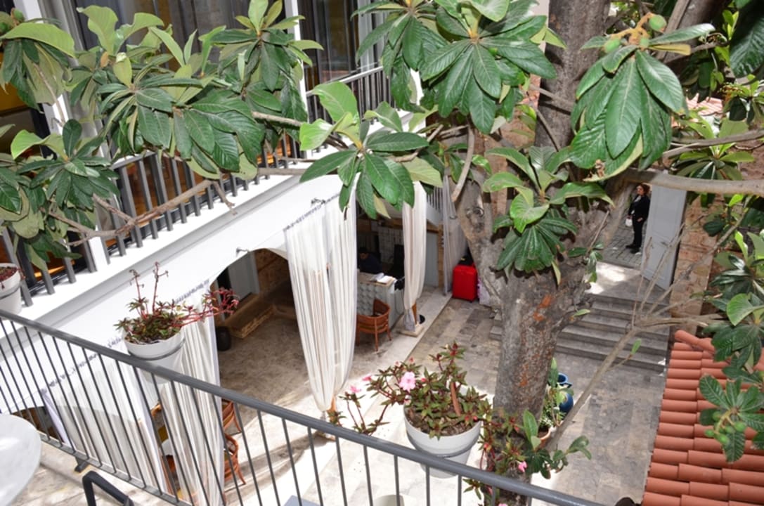 Lobby Delight Deluxe Boutique Hotel