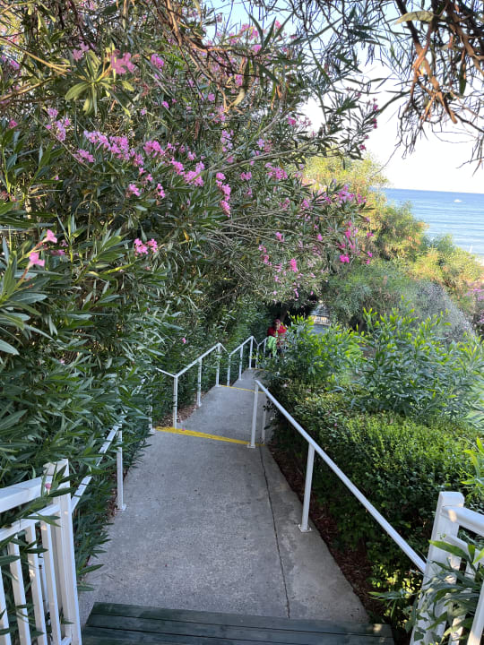 Gartenanlage Can Garden Resort