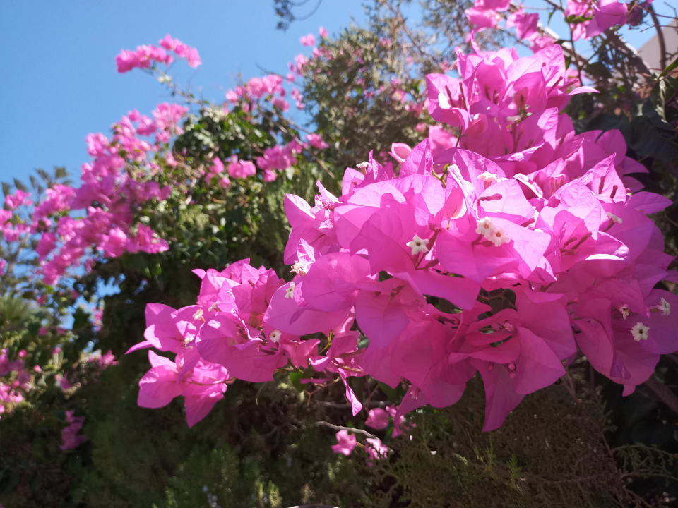 Außenansicht Hotel Kalithea Horizon Royal