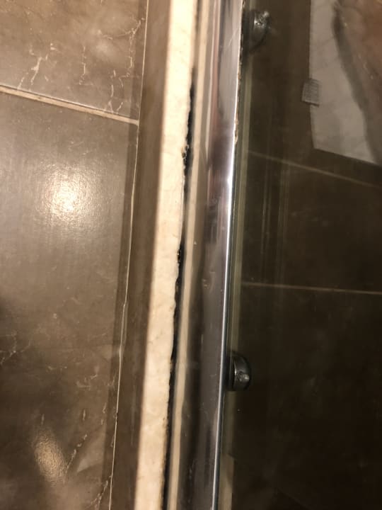 Zimmer Well Palace Side