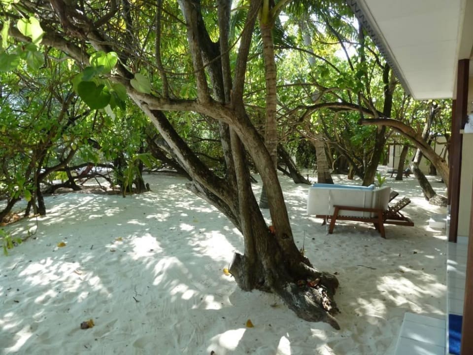 Vor 247 Eri Maldives