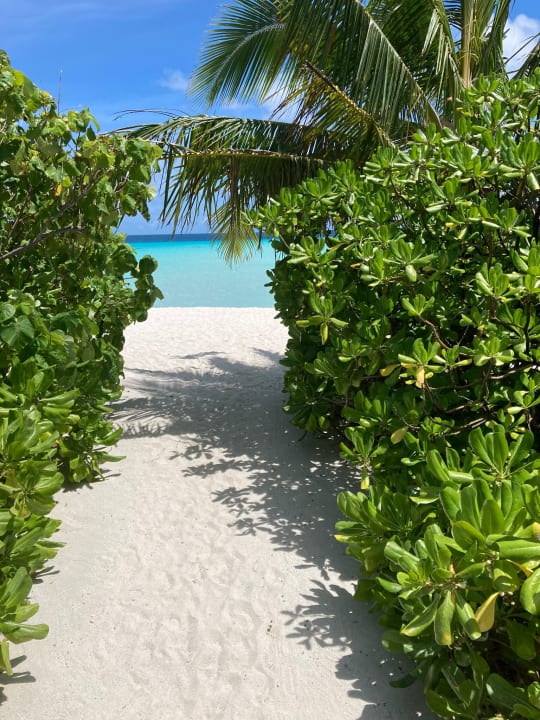 Gartenanlage Summer Island Maldives