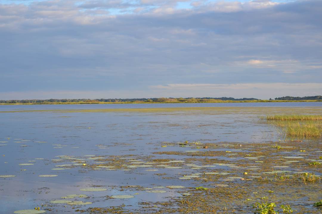 Strand am morgen Hotel The Alden Resort