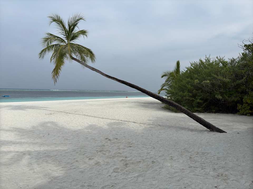 Strand Meeru Maldives Resort Island