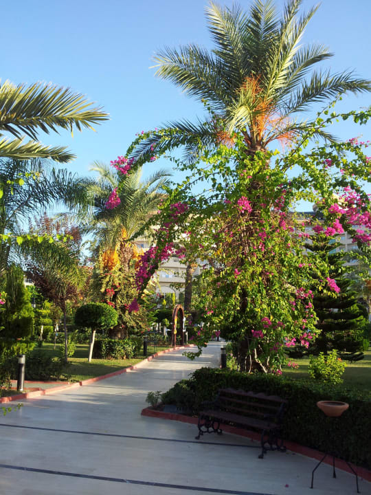Zauberhafte Gartenanlage Saphir Resort & Spa