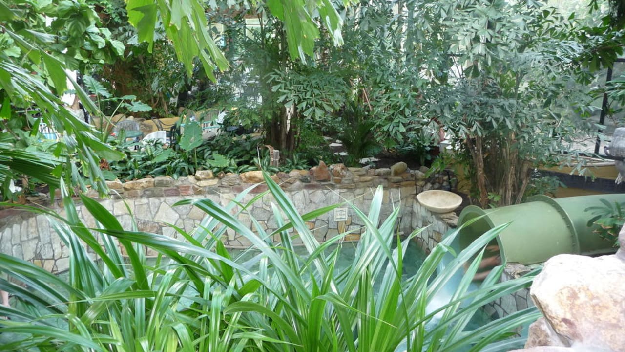 Zwembad Center Parcs De Eemhof