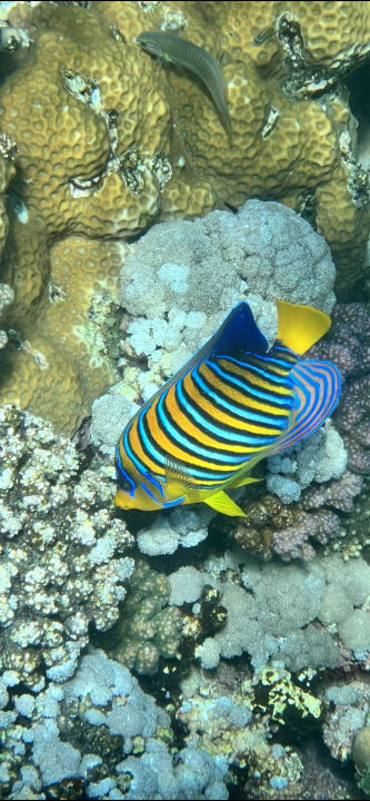 Sport & Freizeit Novotel Marsa Alam Beach Resort