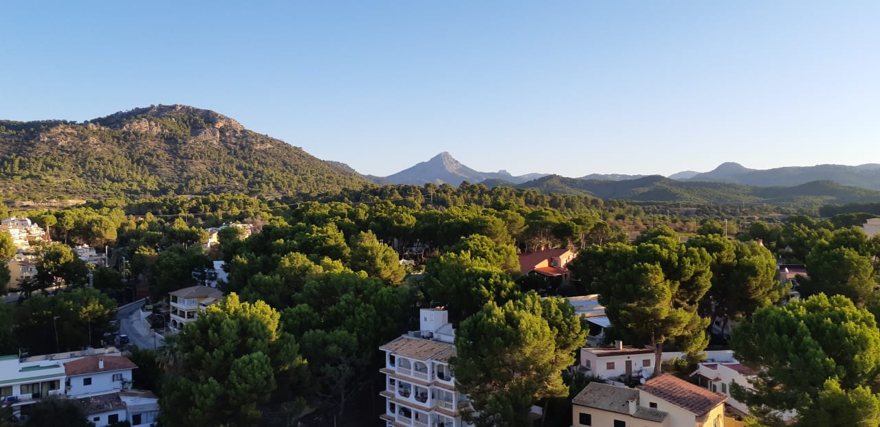 Ausblick Valentin Reina Paguera