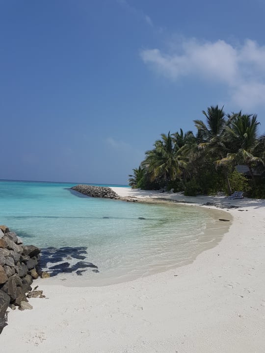 Strand Summer Island Maldives