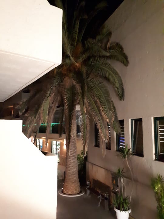 Ausblick Hotel Odyssia Beach