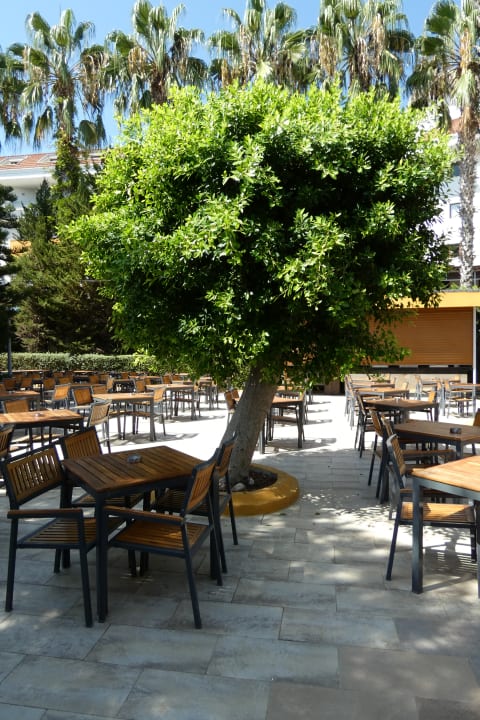 Gartenanlage Hane Family Resort