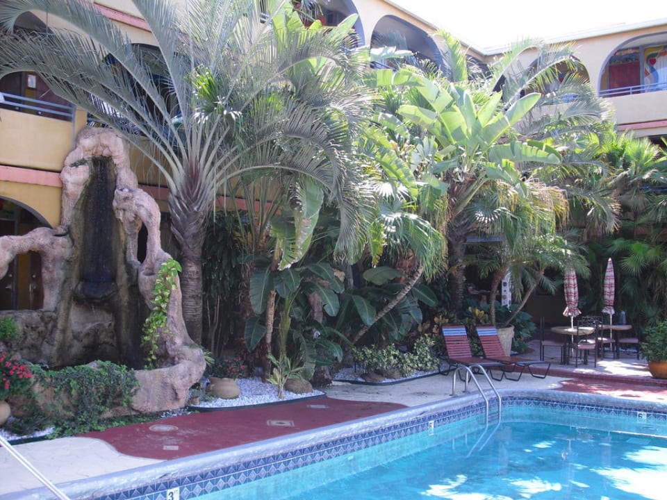 Pool Hotel Tropi Rock Hotel Tropi Rock Resort