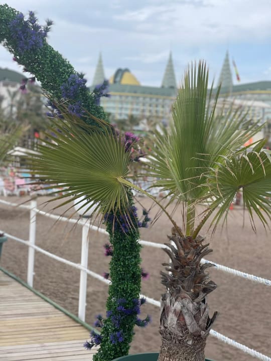 Strand Hotel Delphin Diva