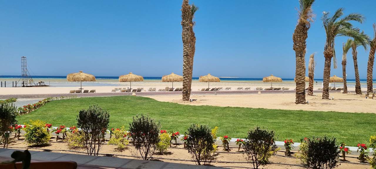 Gastro JAZ Elite Asteria