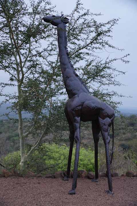 Sonstiges Hotel Zulu Nyala Game Lodge