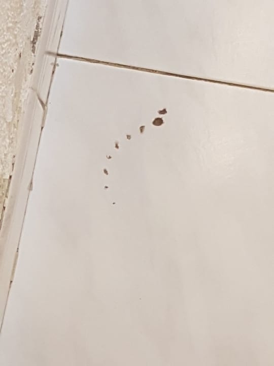 Zimmer SBH Hotel Taro Beach