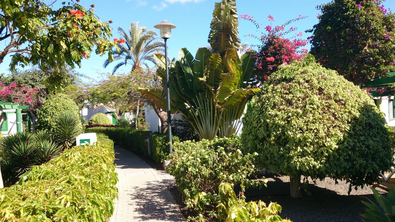 Weg zum Bungalow Bungalows Cordial Sandy Golf