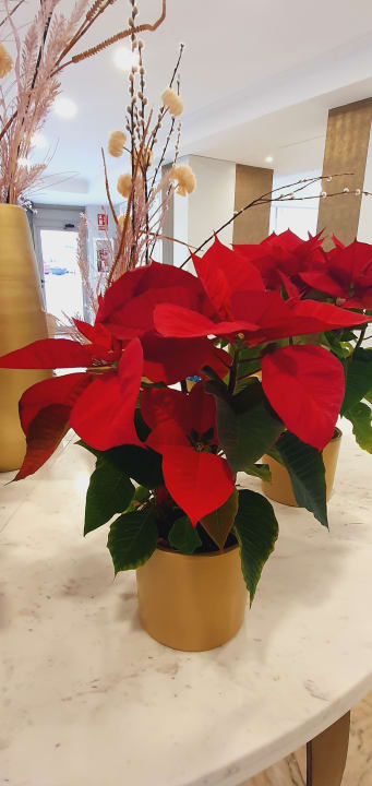 Lobby Grupotel Acapulco Playa - Adults Only