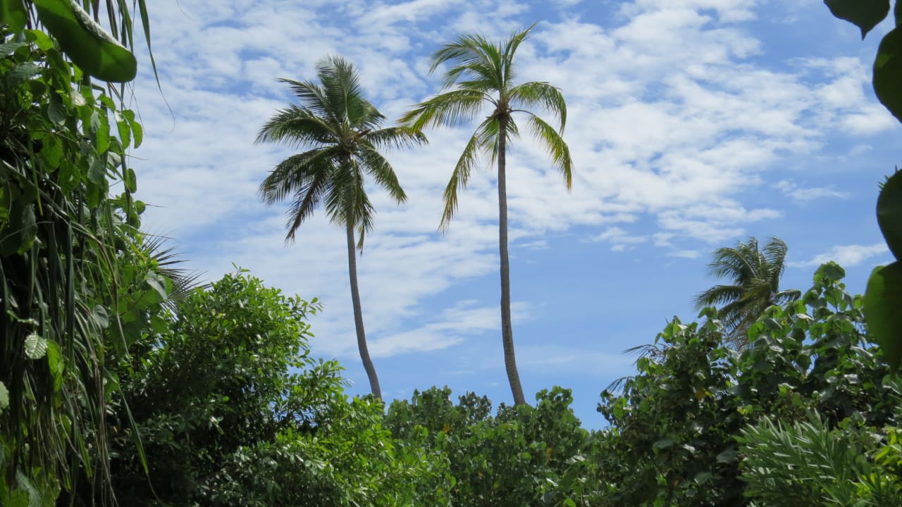 Garten NH Collection Maldives Havodda Resort