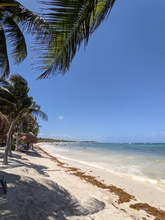 Strand Grand Palladium Select White Sand Resort & Spa