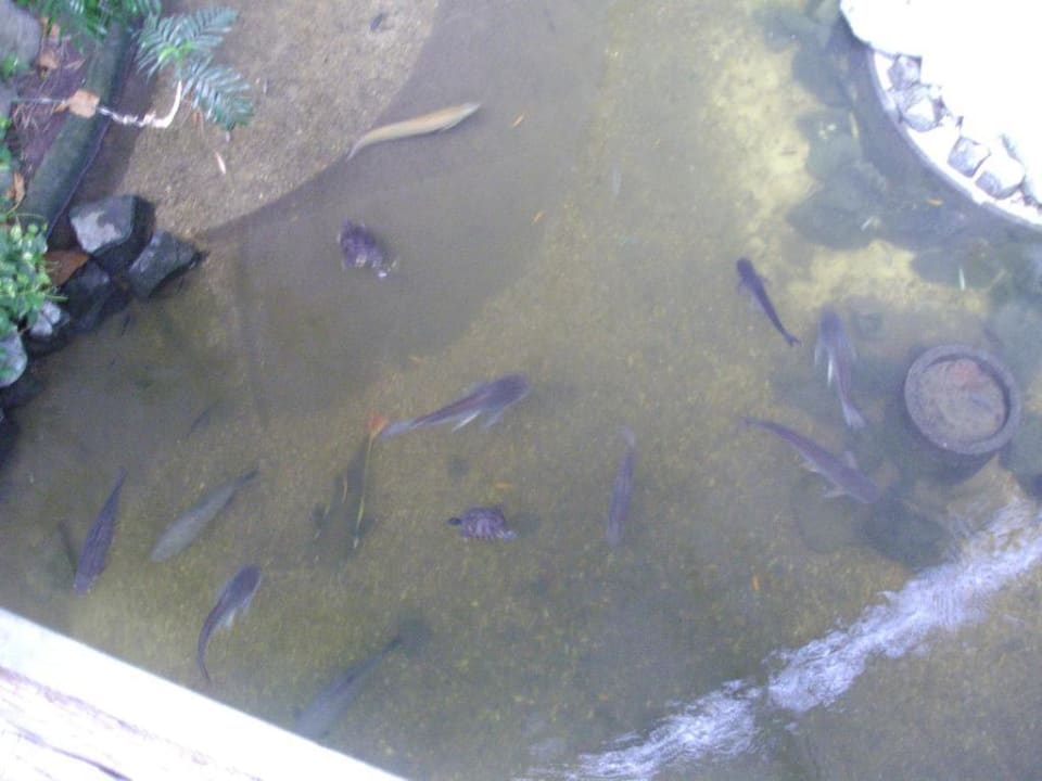 Dschungelsee Tropical Islands Resort