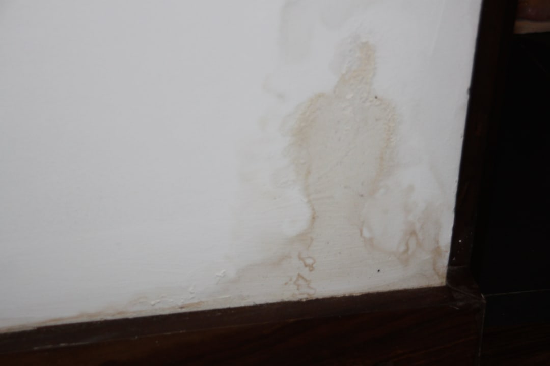 Schimmel und feucht Royal Palms Beach Hotel