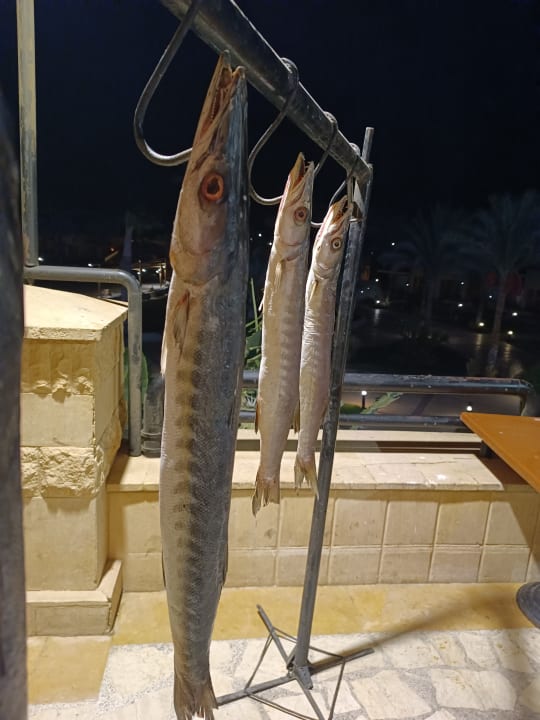 Gastro Malikia Resort Abu Dabbab