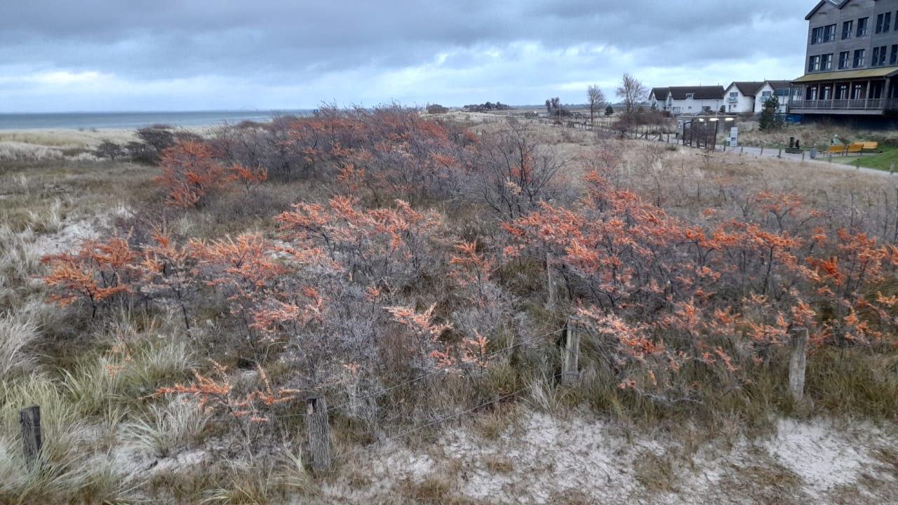 Strand Bretterbude Heiligenhafen