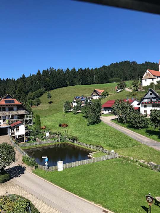 Ausblick Naturparkhotel Adler