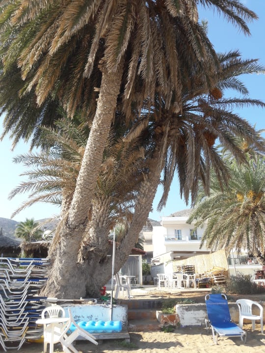 Außenansicht Cactus Beach