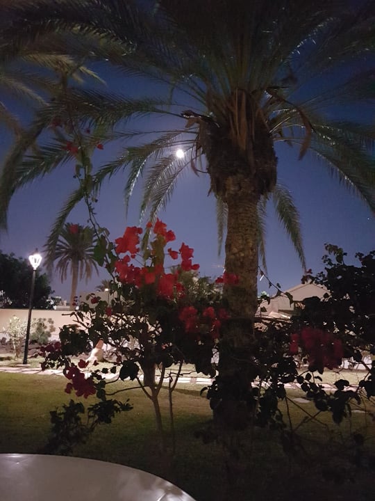 Ausblick Club Excelsior 2