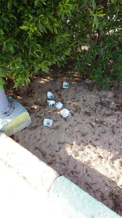 Saberkeit !! Siva Golden Bay Makadi