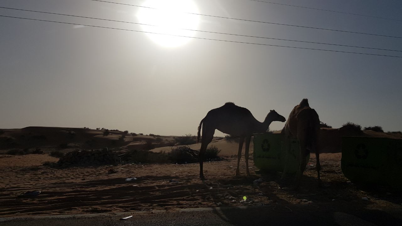 Sonstiges Rixos Bab Al Bahr