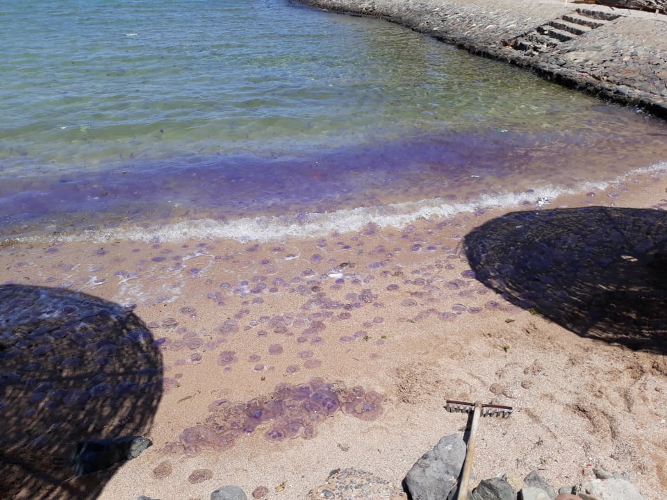 Strand Royal Star Beach Resort