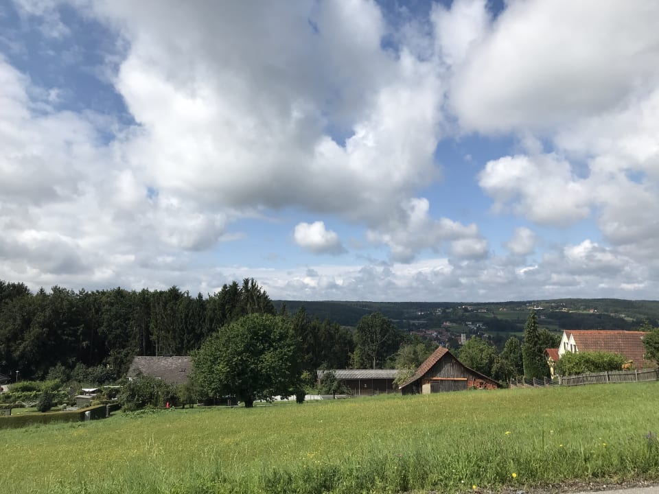 Ausblick Wilfinger Bio Thermen Hotel