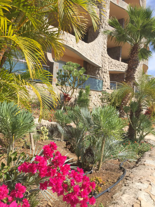 Gartenanlage Gloria Palace Royal Hotel & Spa