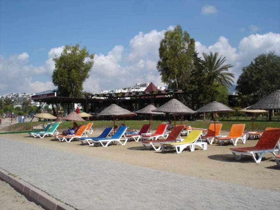 Cesars Beach Ladonia Hotels Delmare