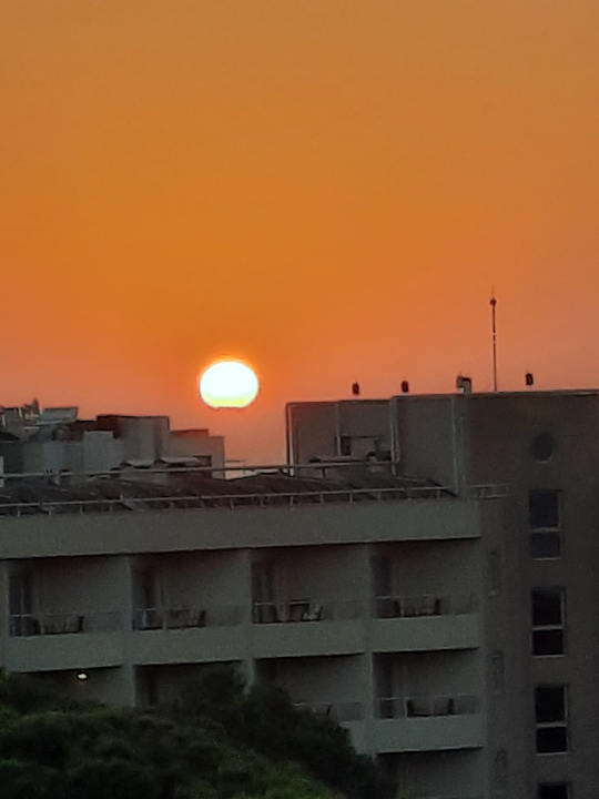 Außenansicht Papillon Ayscha