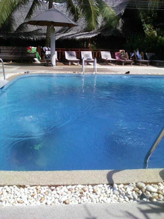 Pool Hotel Asia Divers Resort