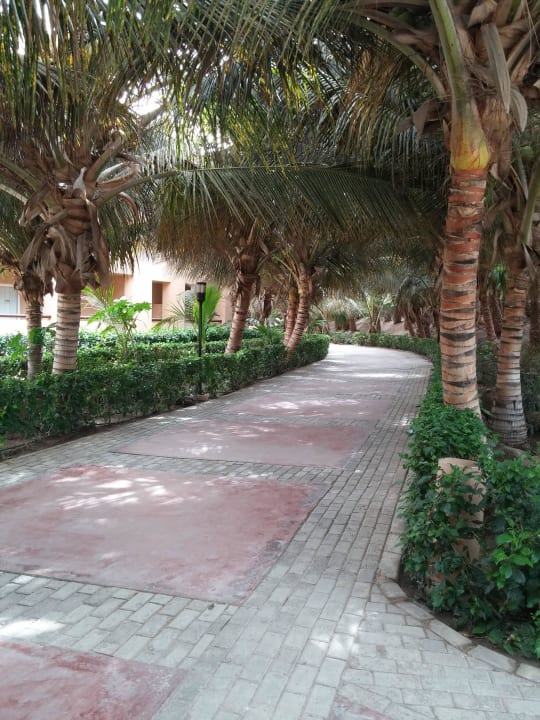 Weg zum Hotelzimmer Hotel Riu Funana