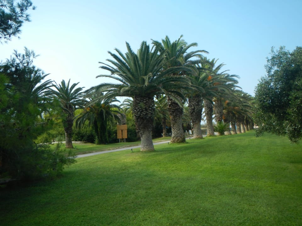 Grünanlage Caravia Beach Hotel