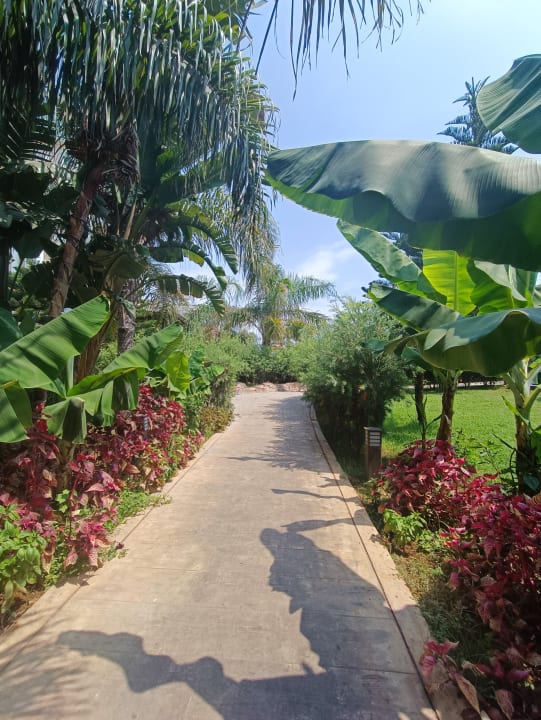 Gartenanlage Haydarpasha Palace