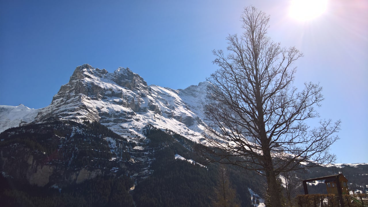 Aussicht vom Wellnessbereich Sunstar Hotel Grindelwald