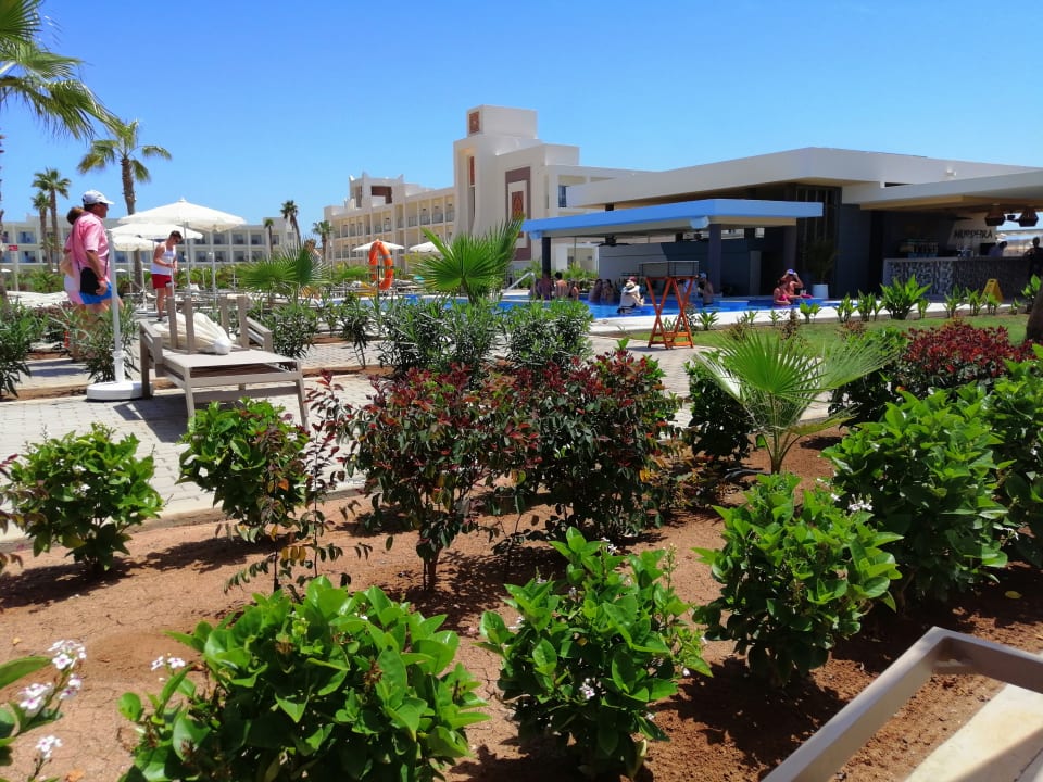 Pool Hotel Riu Palace Santa Maria