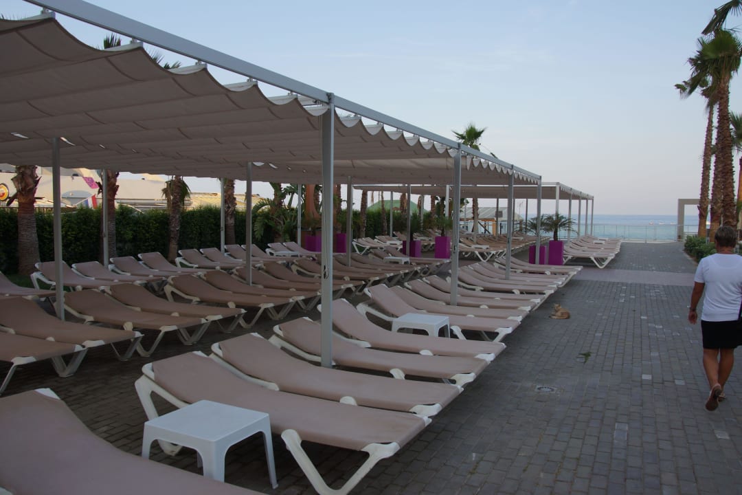 Einige der vielen Liegestühle Hotel Riu Nautilus - Adults only