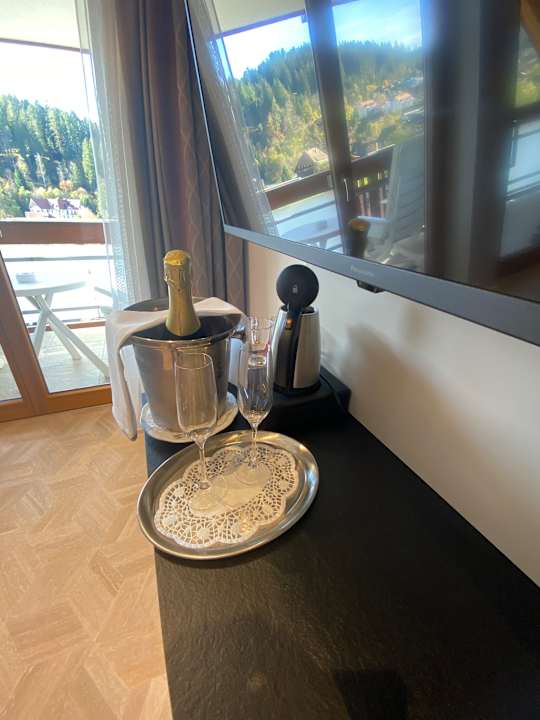 Zimmer Erfurth's Bergfried Ferien & Wellnesshotel