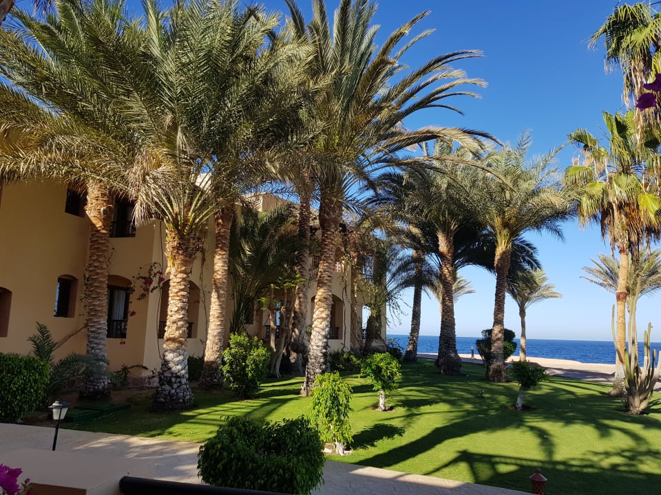 Ausblick Steigenberger Coraya Beach - Adults only