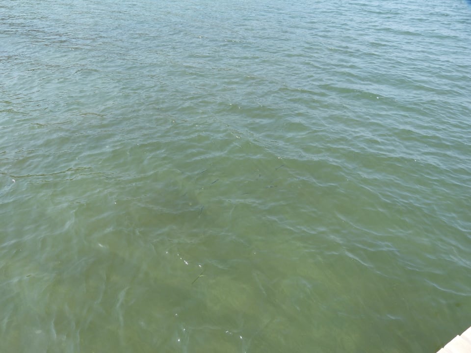 Strand Gold Island Selected