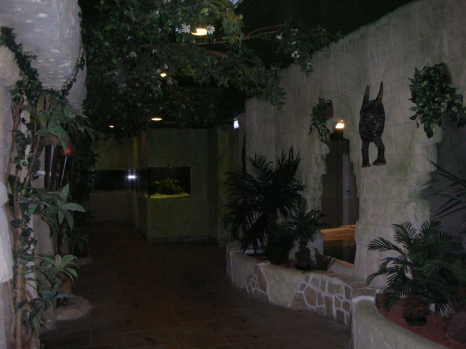 Aquarienlandschaft im Badeparadies Ferienwohnungen Ferienpark Weissenhäuser Strand