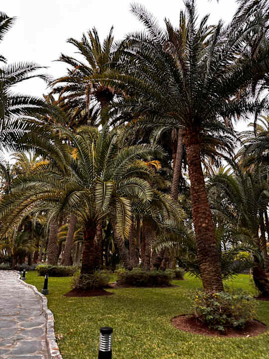 Gartenanlage Hotel Riu Palace Oasis
